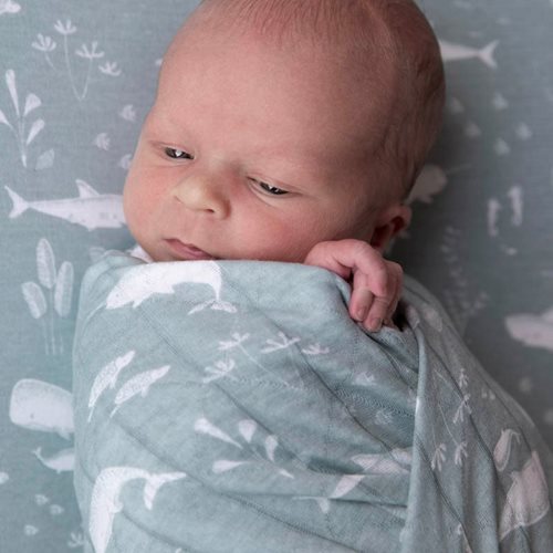 Picture of Swaddle 120 x 120 Ocean Mint