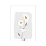 Picture of Poster Daisy - A3