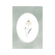 Poster A3 - Wild Flowers