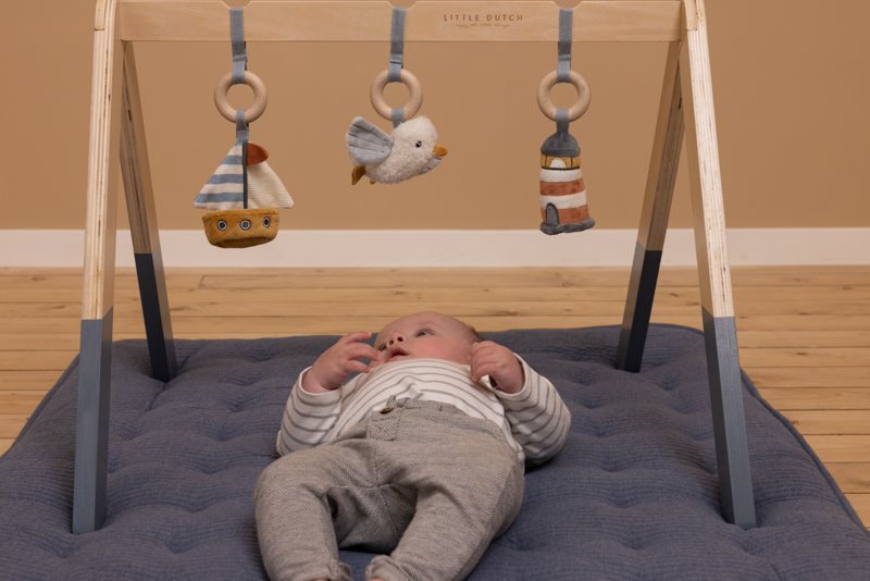 Order the Little Dutch Baby Gym online - Baby Plus