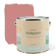 Wandfarbe extra mat Pure Pink