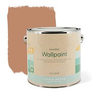 Picture of Wall paint extra mat 2,5L - Pure Rust