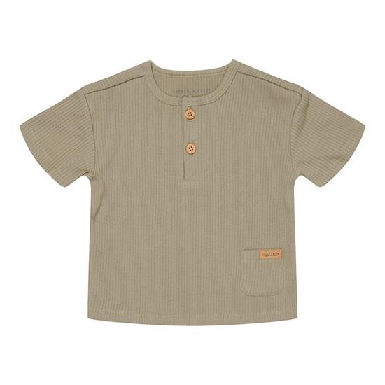 Picture of T-shirt short sleeves Olive - 62