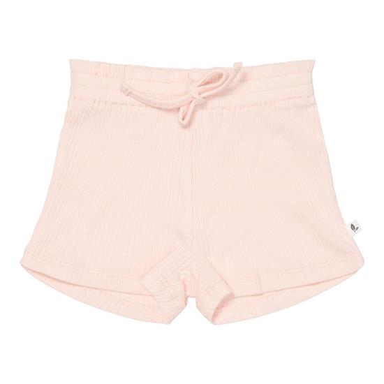 Picture of Short trousers Pink - 68