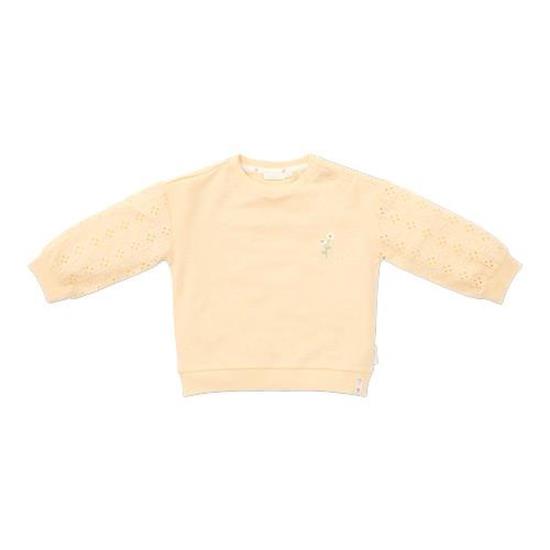 Picture of Sweater Honey Yellow - 104