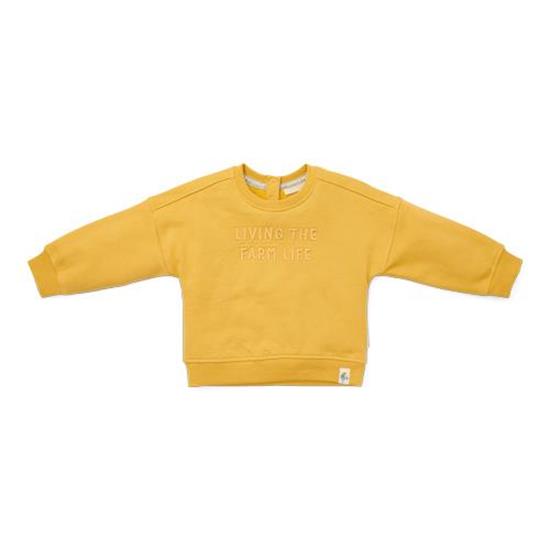 Afbeelding van Trui Mustard Yellow - 86