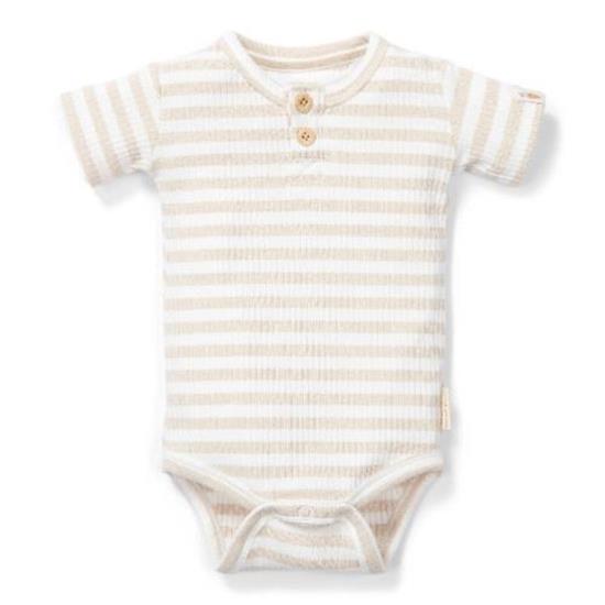 Picture of Bodysuit short sleeves Stripe Sand/White - 74