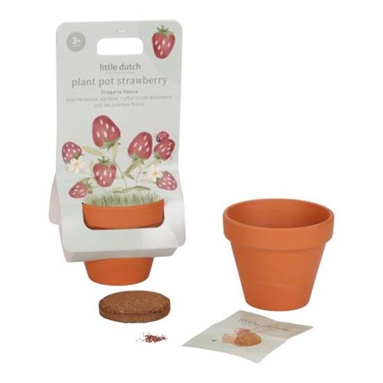 Pot de plantes Fraise